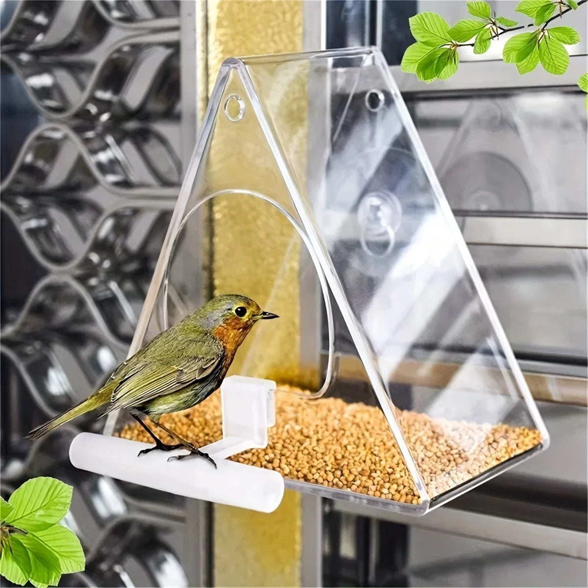 Clear window bird feeder mounted on glass with a bird on the perch