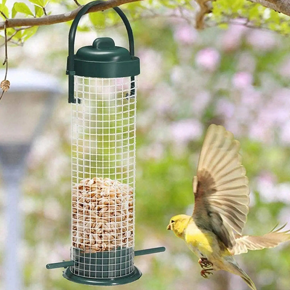 The peanut feeder hanging in a garden with a finch approaching