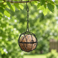 Black wire sphere suet ball feeder hanging from a branch with a fat ball inside